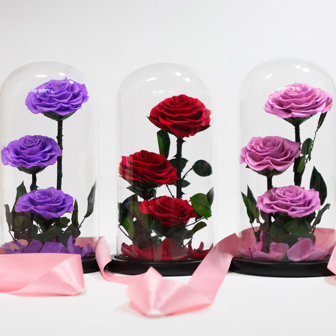 Elegant preserved rose arrangements in glass domes with pink ribbon, perfect for romantic gifts or events