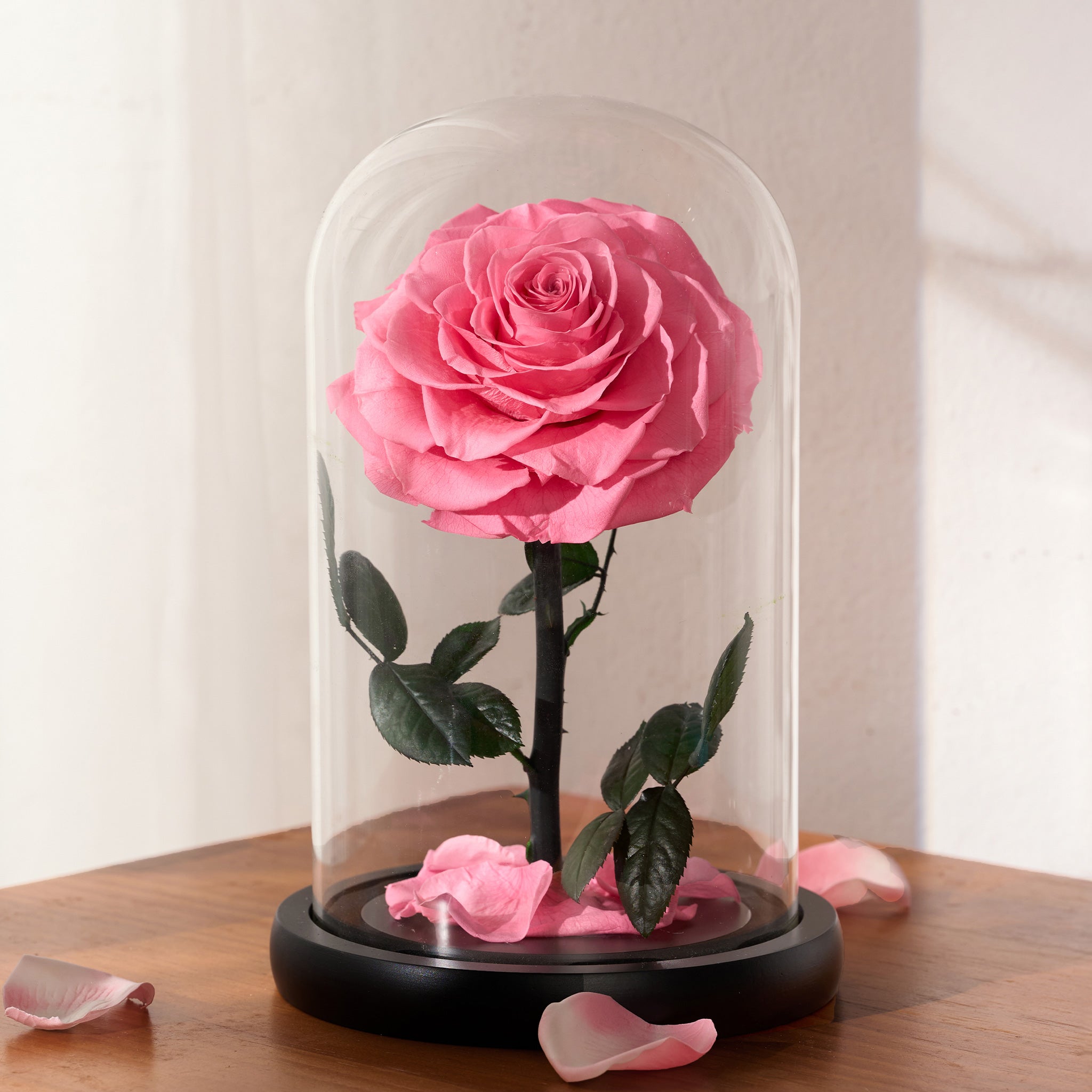 Aurora – Fuchsia Pink