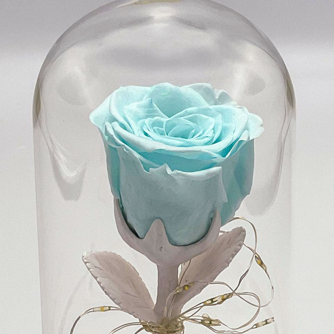 Elizabeth Bluetooth Speaker