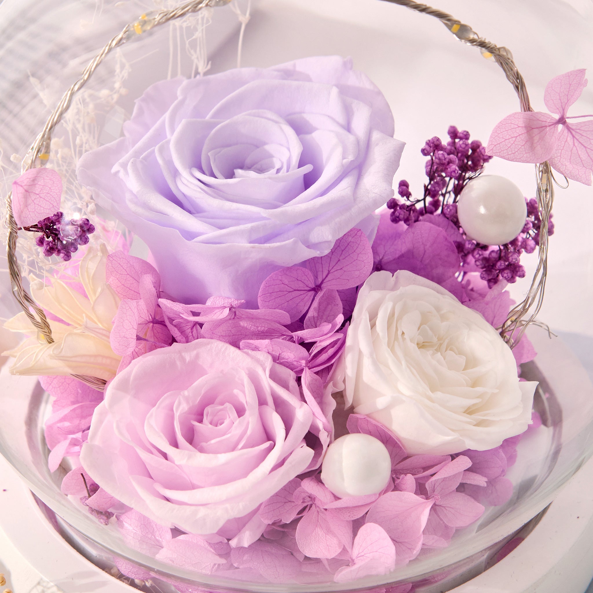 Stella – Purple