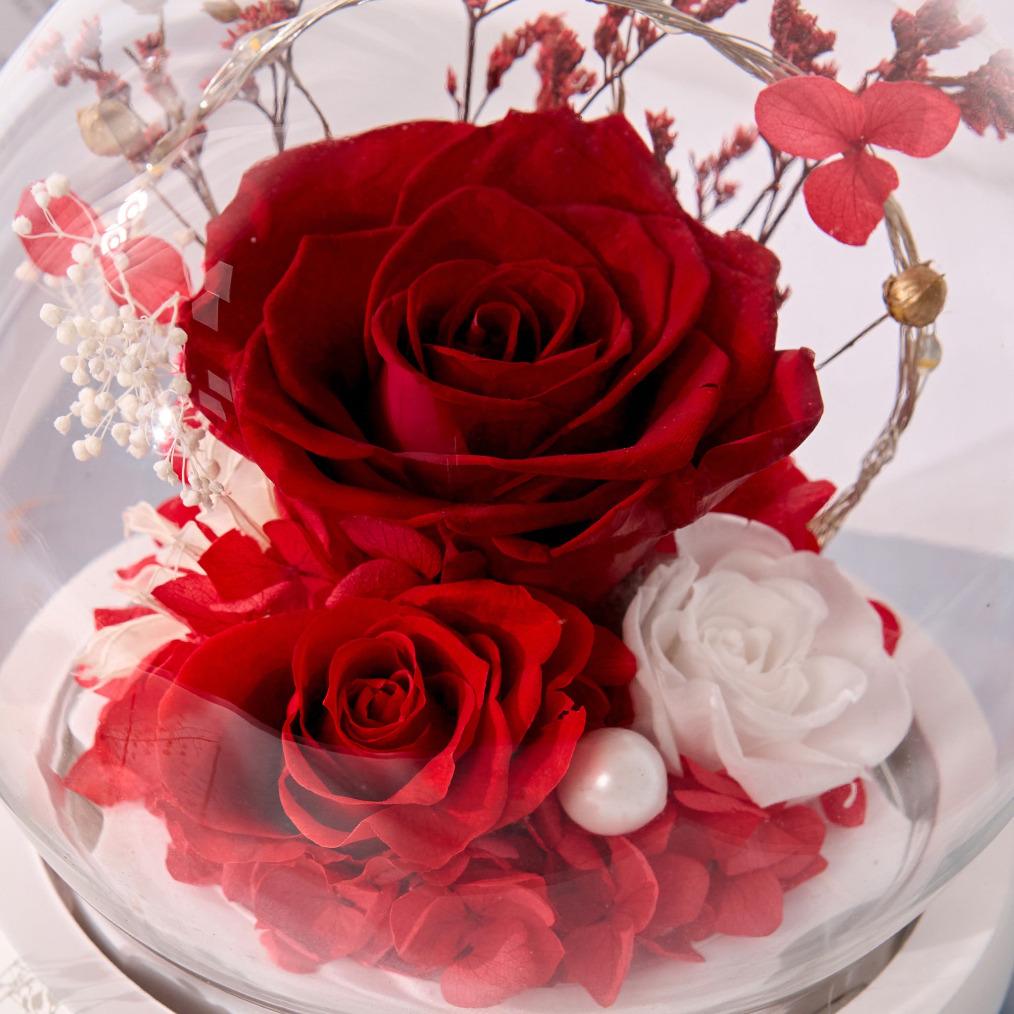 Stella – Red