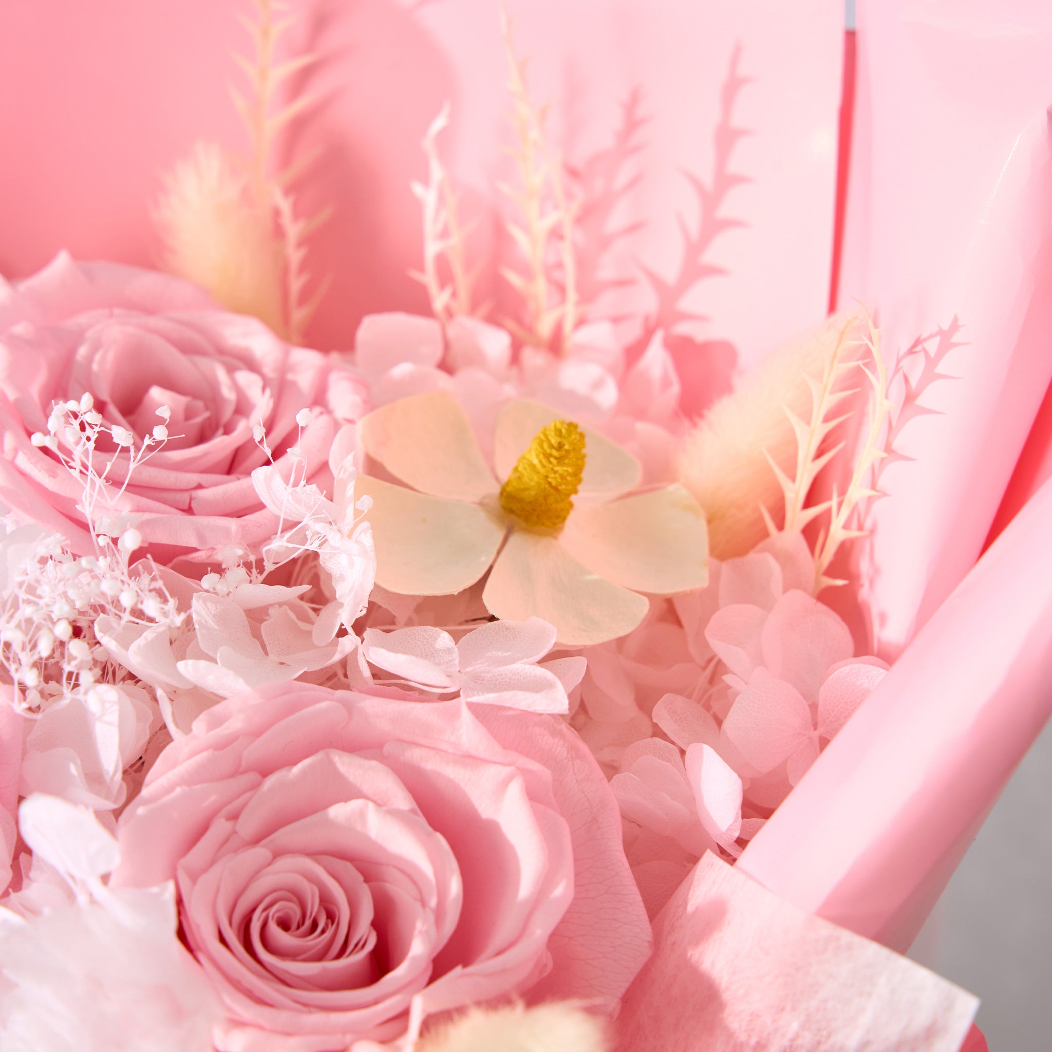 Close-up of pink flowers with a soft focus background