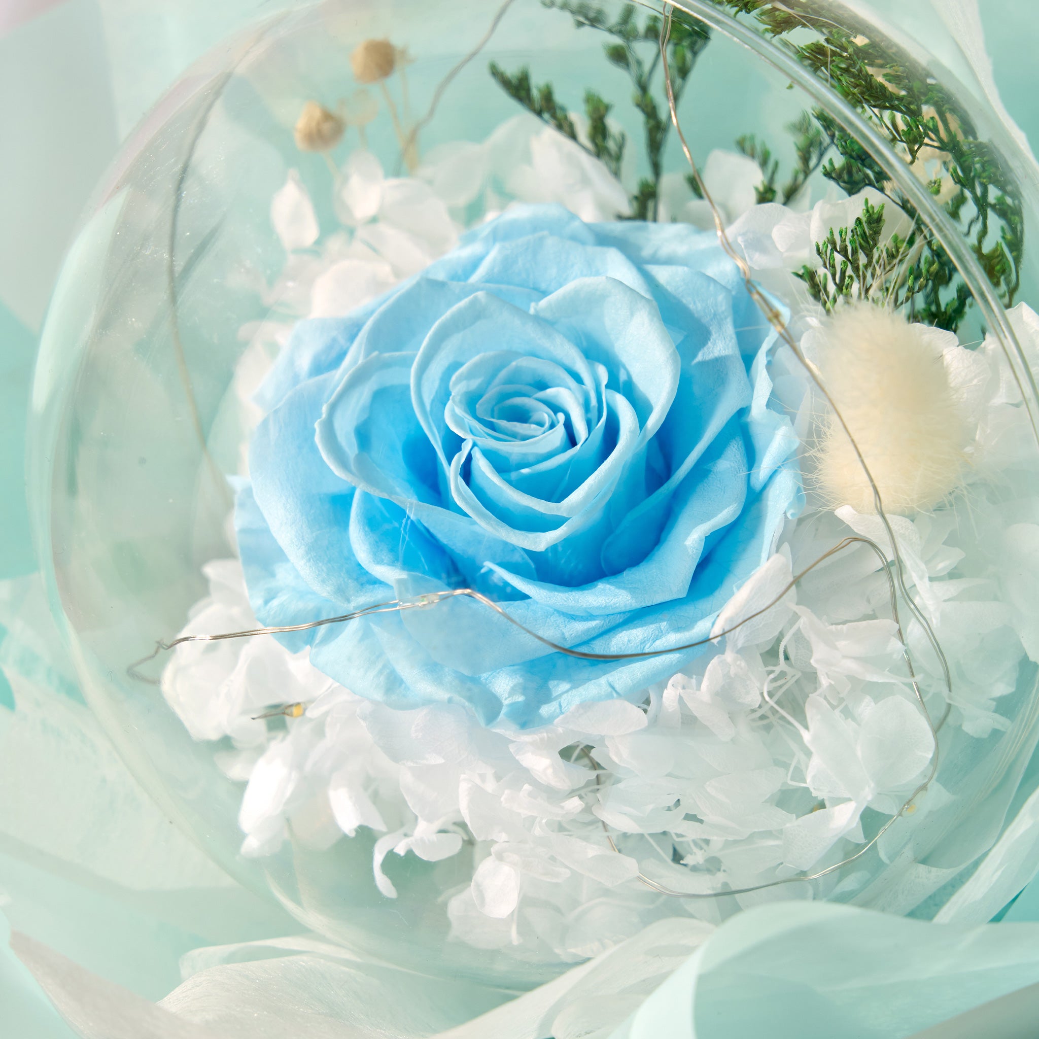 Blue rose in a transparent acrylic ball with white flowers and greenery wrapped with a turquoise wrapping paper