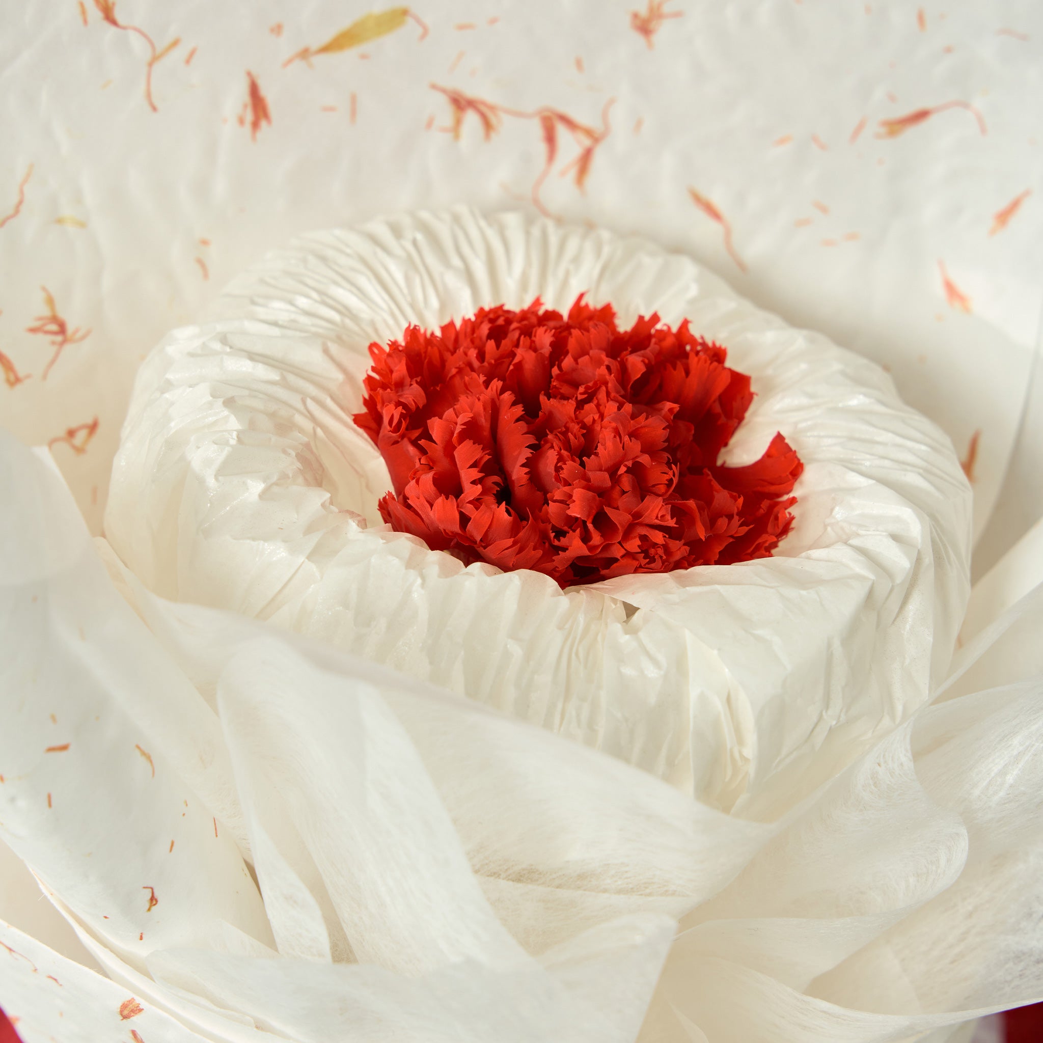 Luna (1 Carnation) – Red