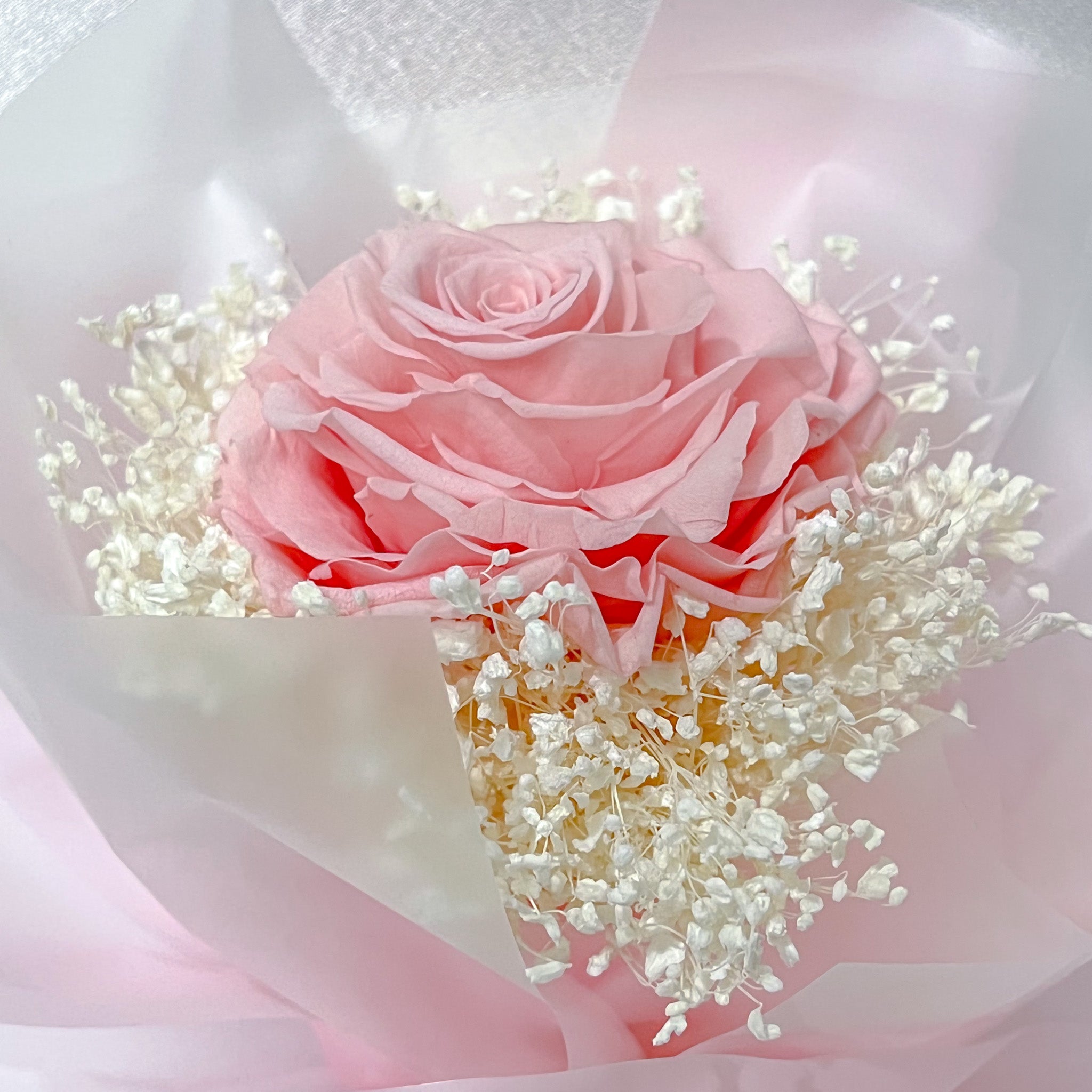 Rosa (1 Rose)