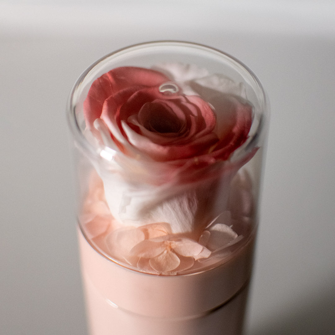 Preserved Rose Thermal Flask – Candy Pink Tint (Pink Bottle)