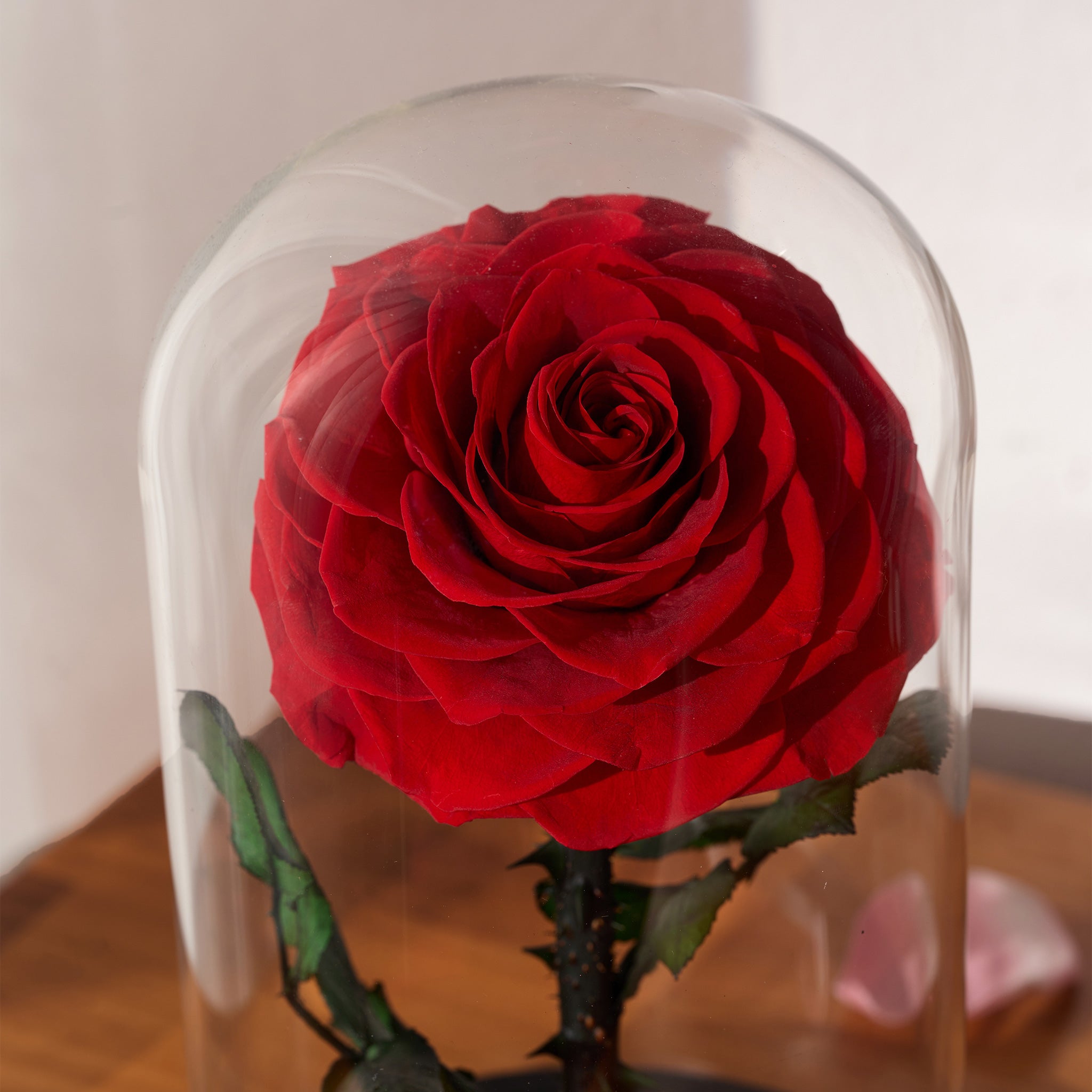 Aurora – Deep Red