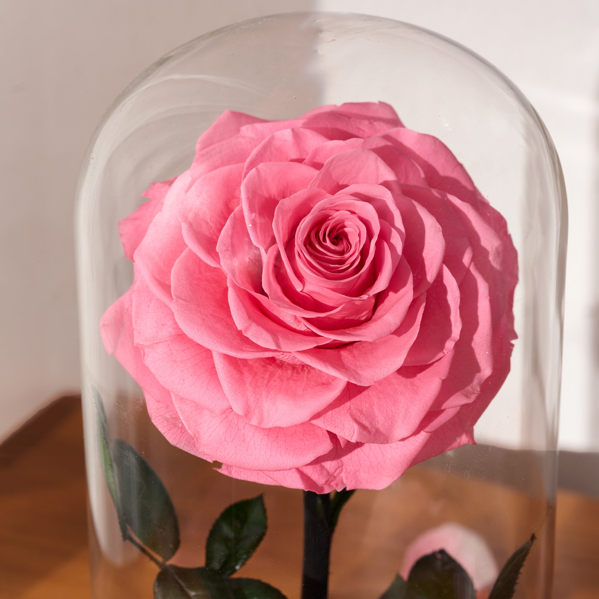 Aurora – Fuchsia Pink