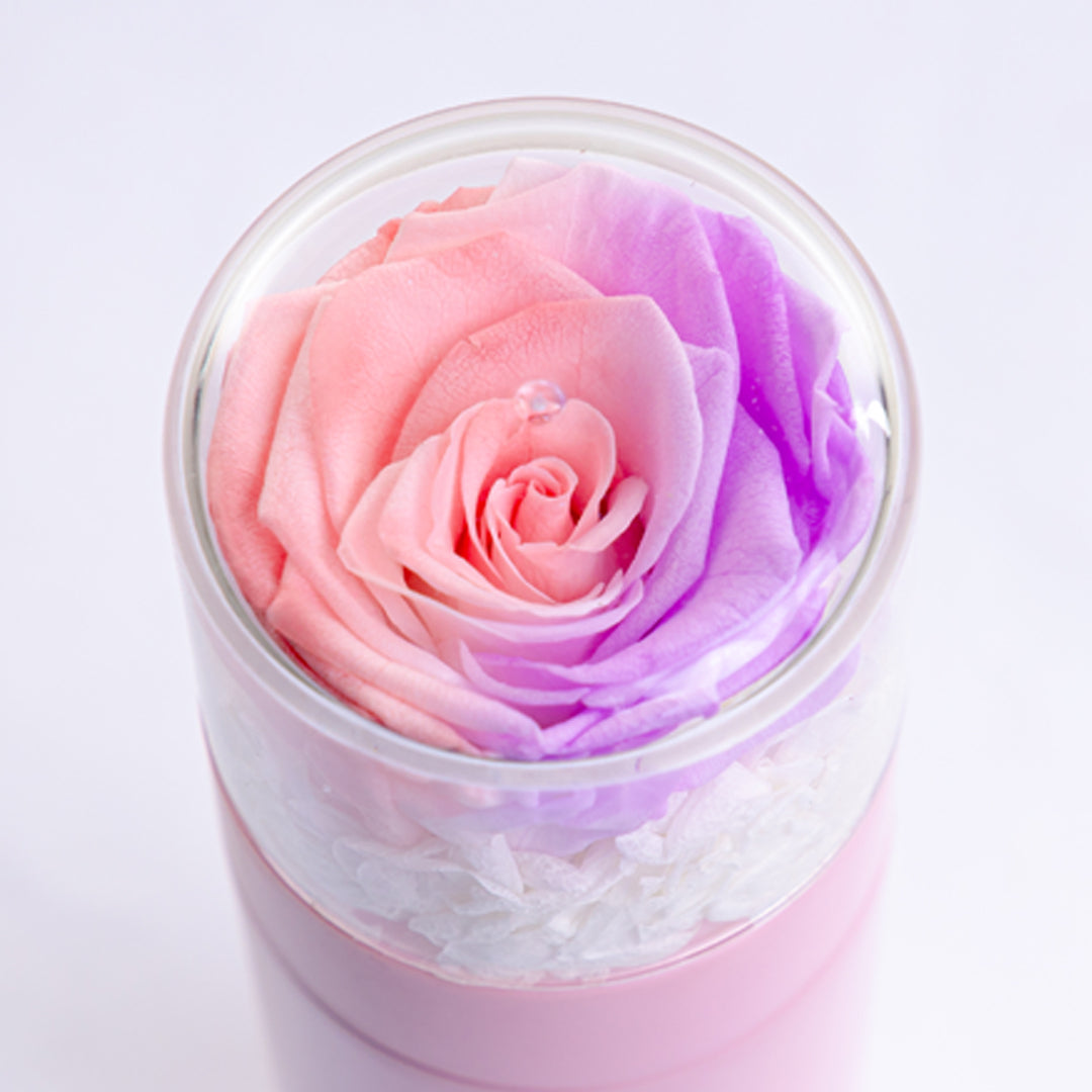 Preserved Rose Thermal Flask – Lavender Blush (Pink Bottle)