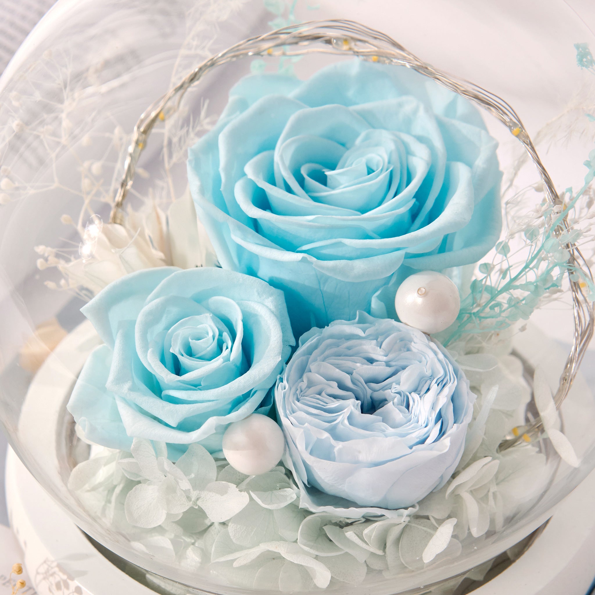 Stella – Blue