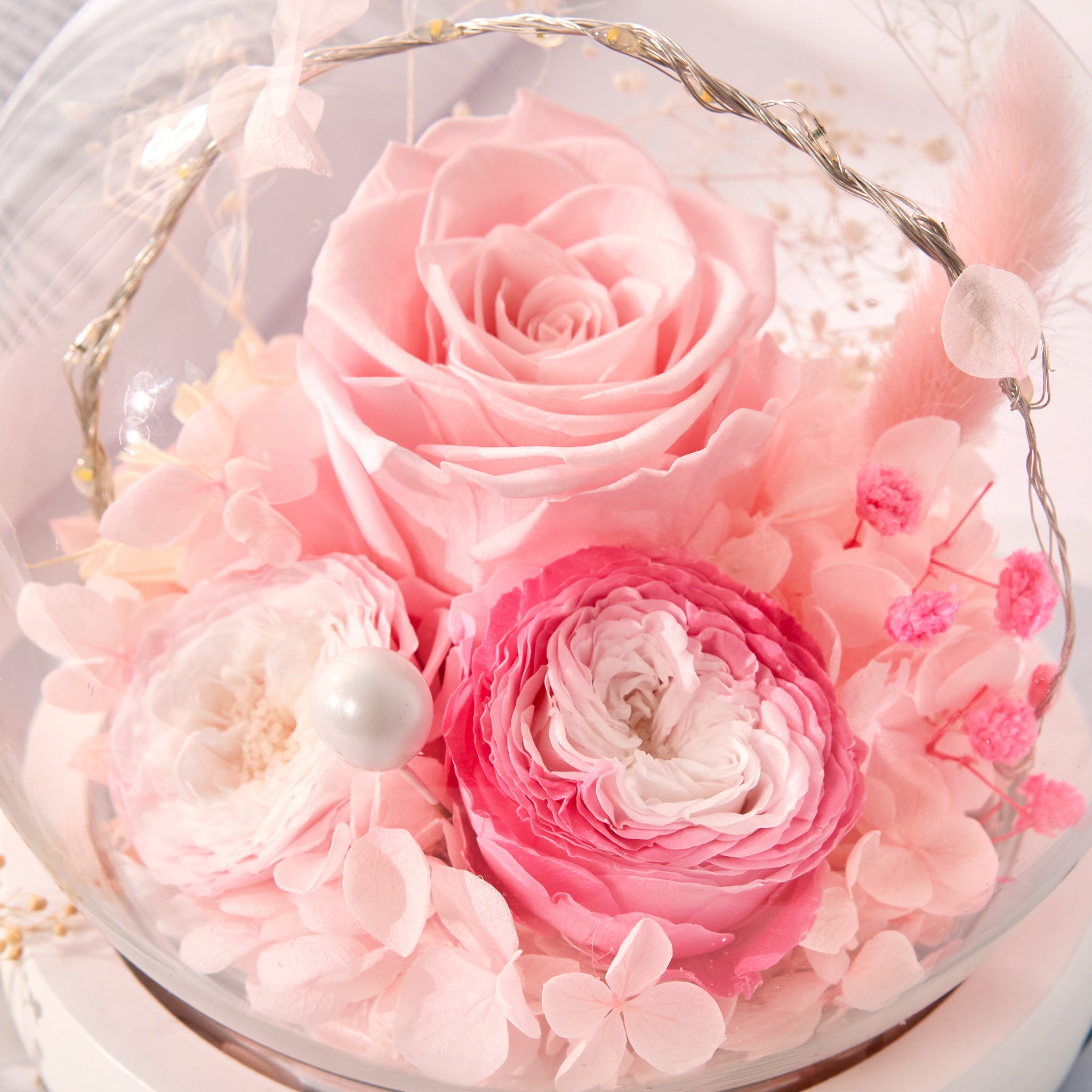 Stella – Pink