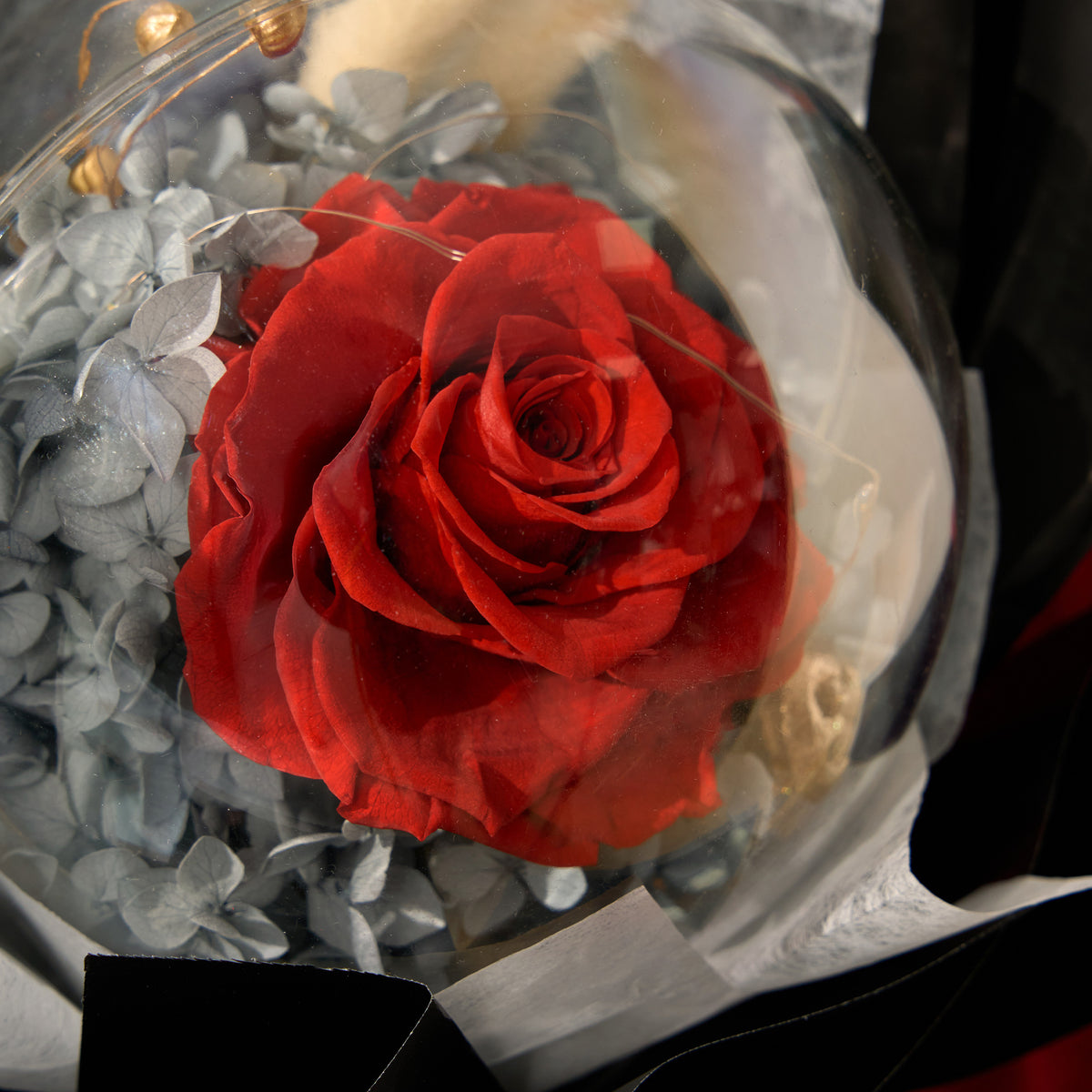 Bubbles – Red