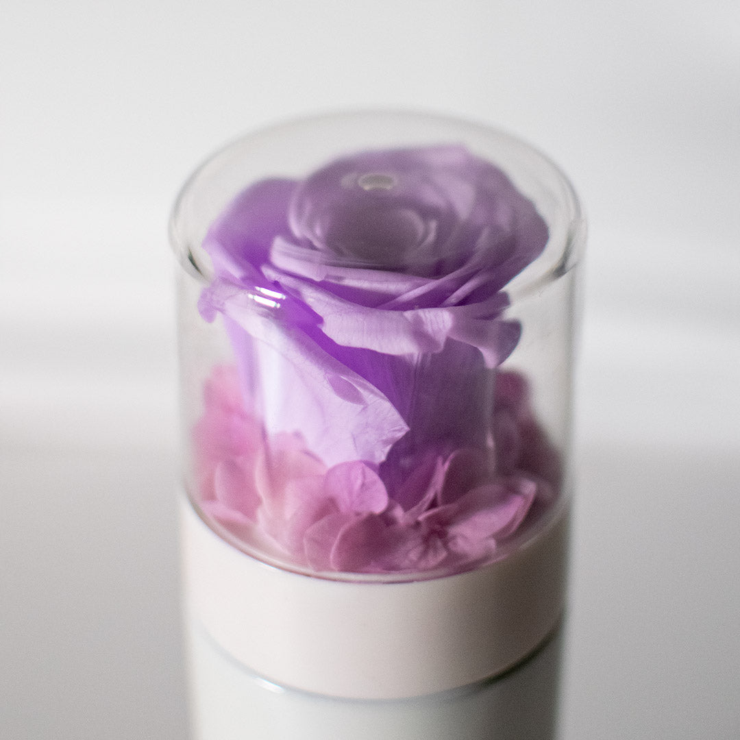 Preserved Rose Thermal Flask – Purple (White Bottle)