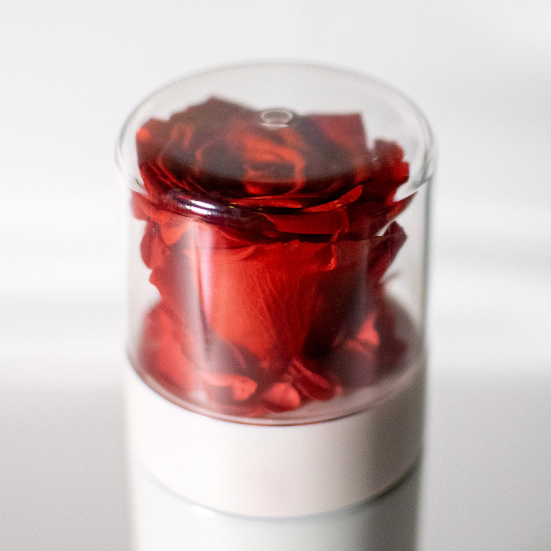 Preserved Rose Thermal Flask – Red (White Bottle)