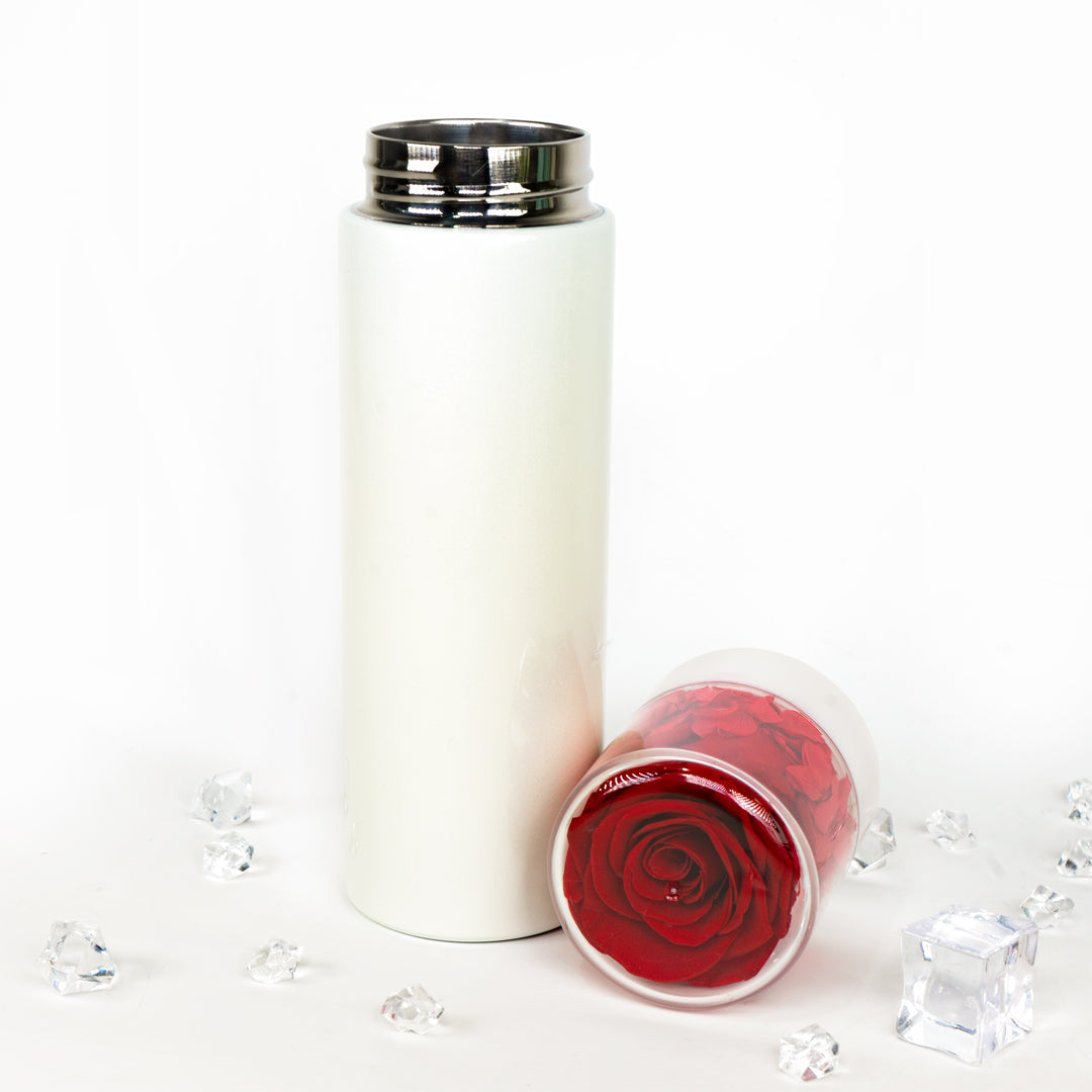 Preserved Rose Thermal Flask – Red (White Bottle)