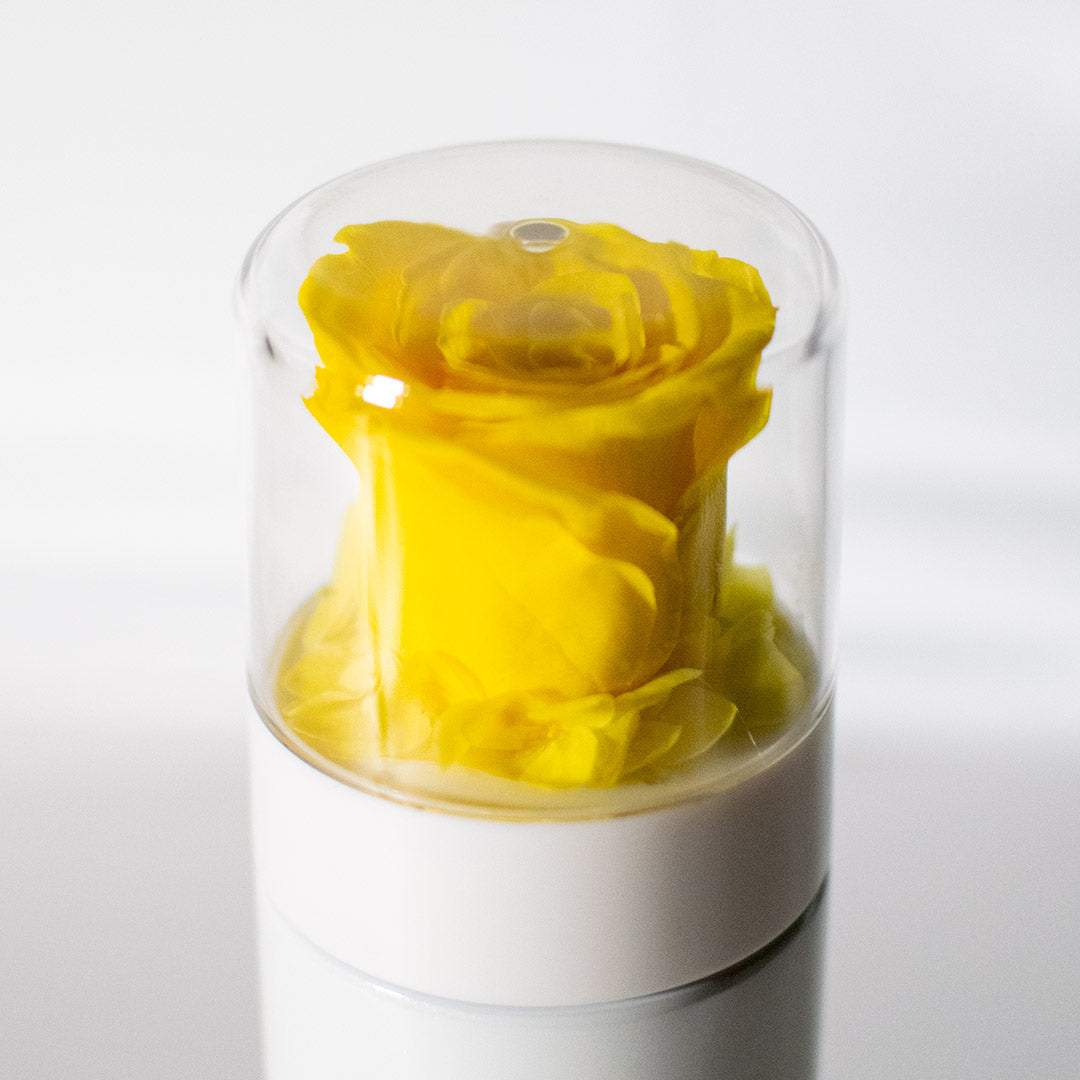 Preserved Rose Thermal Flask – Yellow (White Bottle)